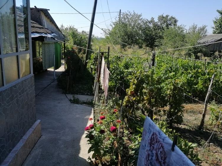 Puieni, judetul Giurgiu - 1