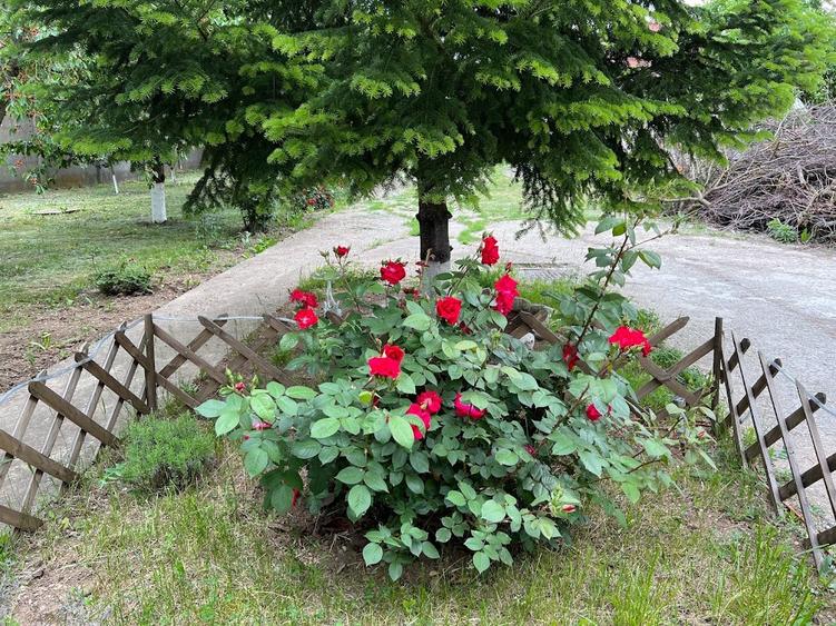 Casă individuală cu 6 camere cu Garaj în Snagov