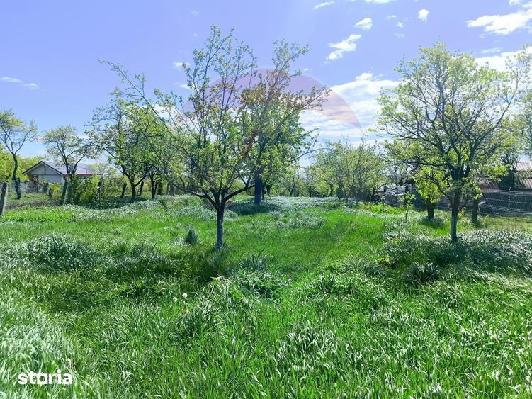 Teren de 1550 mp, în Tureni