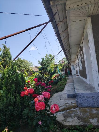 Casă individuală cu 4 camere cu Teren 2400 Mp în Cârja