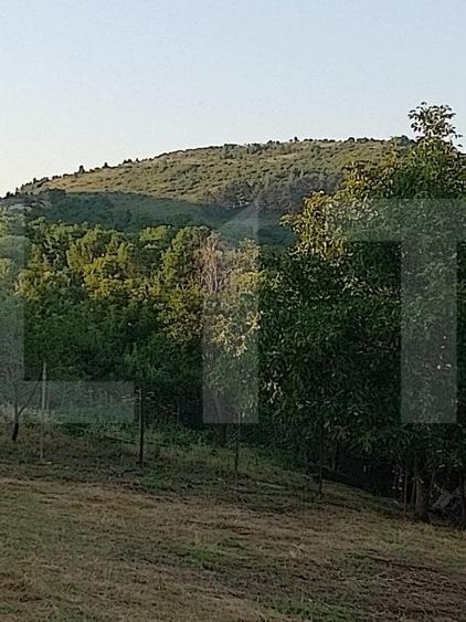 Oportunitate !Teren intravilan 800 mp cu autorizatie construire , Ciurila ! - 4