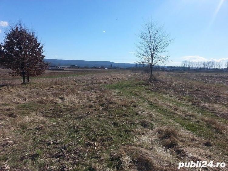 Teren de 9000 mp, în Copăcelu