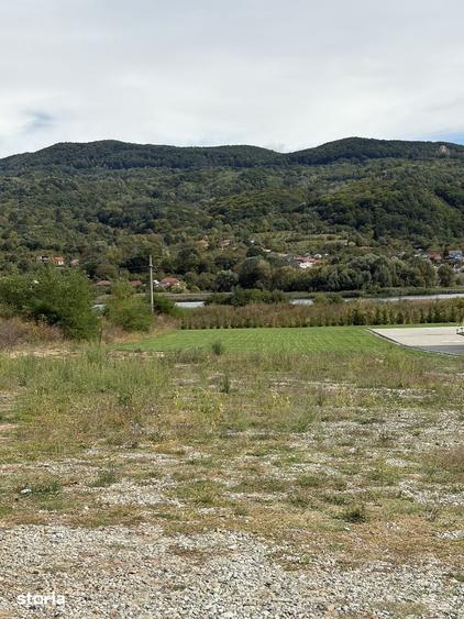 Teren de 13000 mp, în Bujoreni