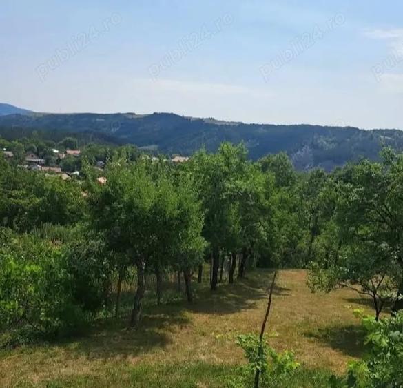 Casă cu 3 camere cu Teren 3000 Mp în Fârliug