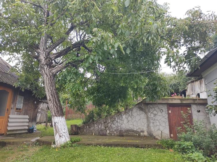 Casă cu 2 camere în Cara