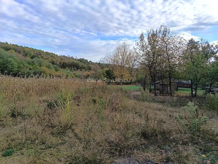 Teren intravilan loc de casa 7.800 mp-Conop, jud. Arad