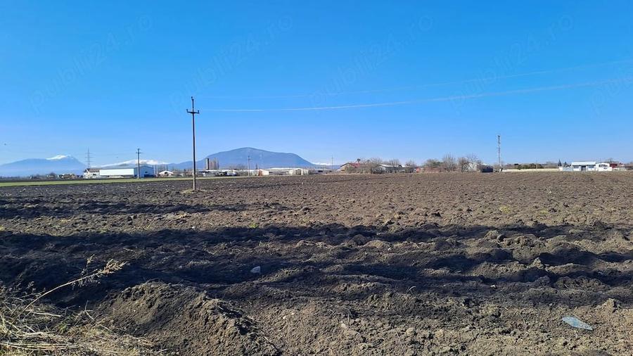 Teren de 5000 mp, în Hălchiu