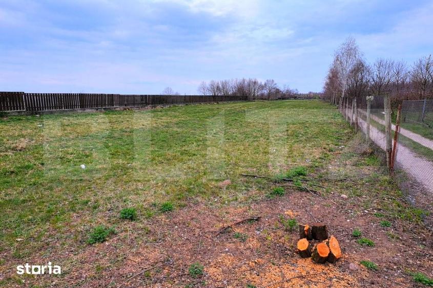Teren de 4418 mp, în Cetate