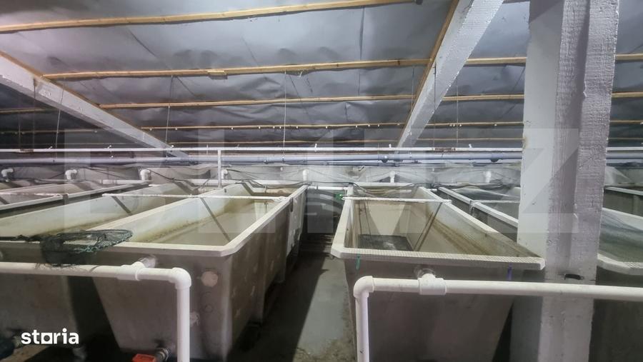 Casă cu 4 camere cu Teren 28000 Mp în Ceptura