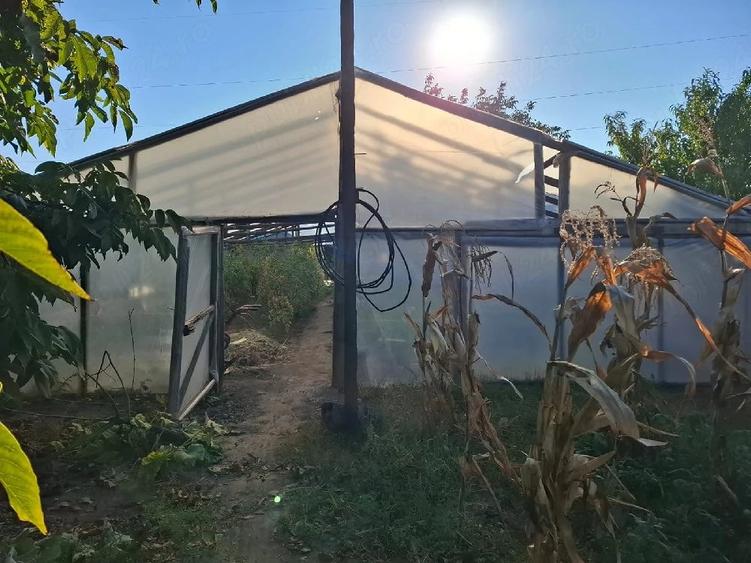 Teren de 1650 mp, în Vărsătura