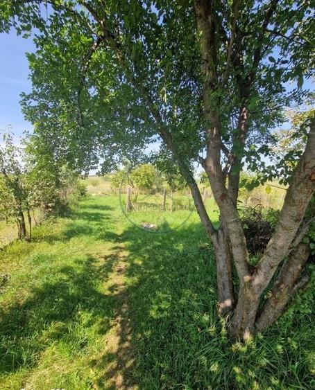 Casă cu 2 camere cu Teren 1600 Mp în Central