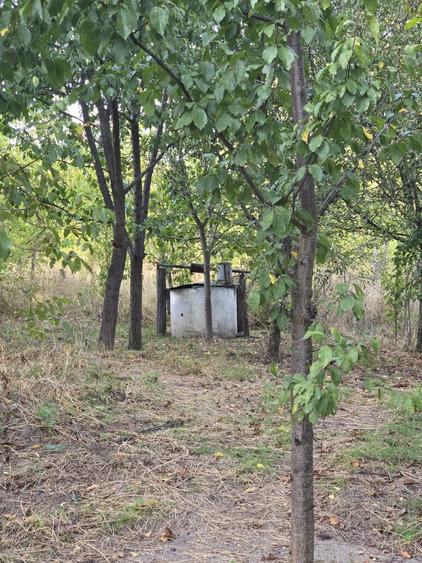 Casă cu 4 camere cu Teren 2400 Mp în Corbu