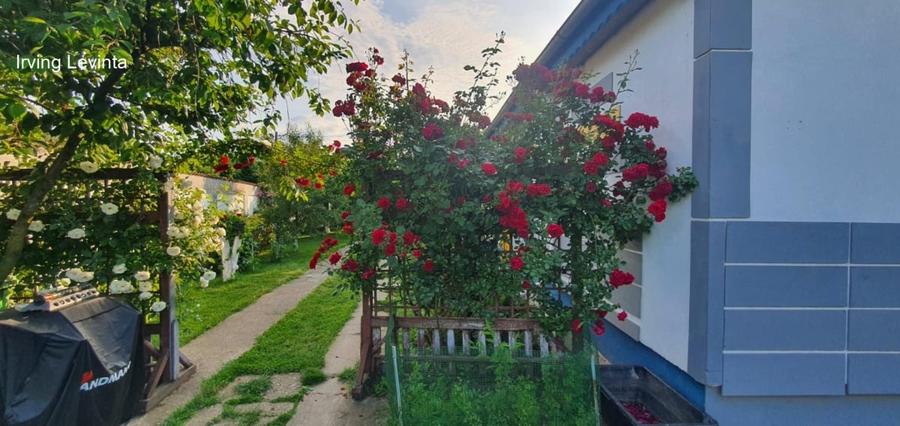 Casă individuală cu 3 camere cu Teren 450 Mp în Cernica