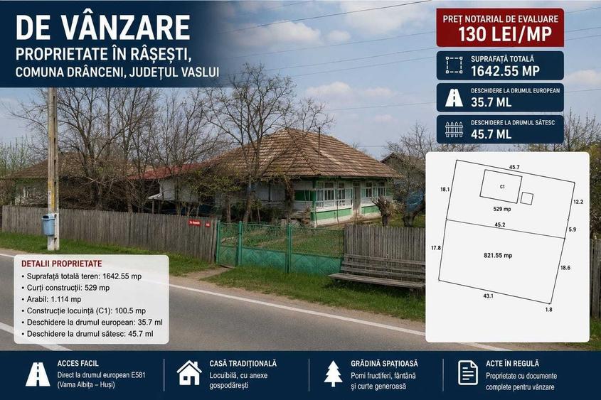 DE VANZARE Casa cu teren in sat Rasesti, comuna Dranceni, judetul Vaslui - 5