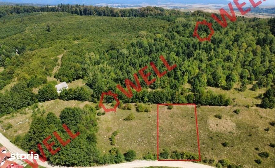 Teren de 1500 mp, în Dumbrăvița