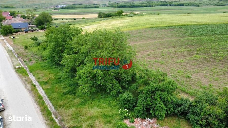 Teren de 2900 mp, în Obreja