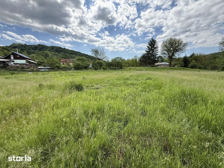 Teren de 1200 mp, în Provița de Sus