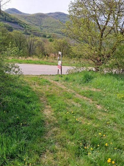 Teren de 9260 mp, în Remetea