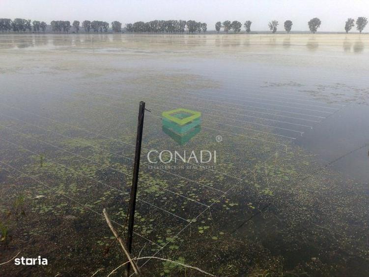Spațiu comercial, în Ciocănești