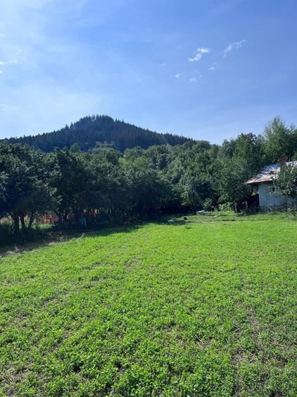 Teren de 3026 mp, în Gârcina