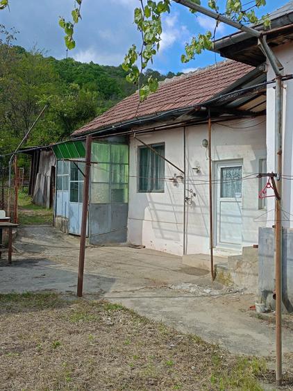 Casă cu Teren 85 Mp în Bujoreni