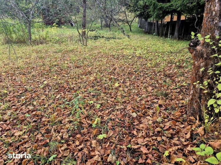 Casă cu 5 camere cu Teren 3908 Mp în Central