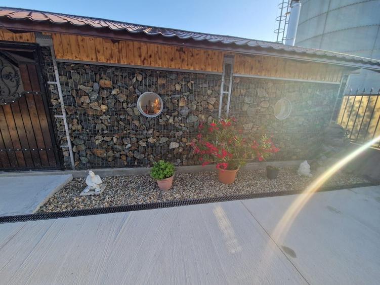 Spațiu comercial, de 120 mp, în Fibiș