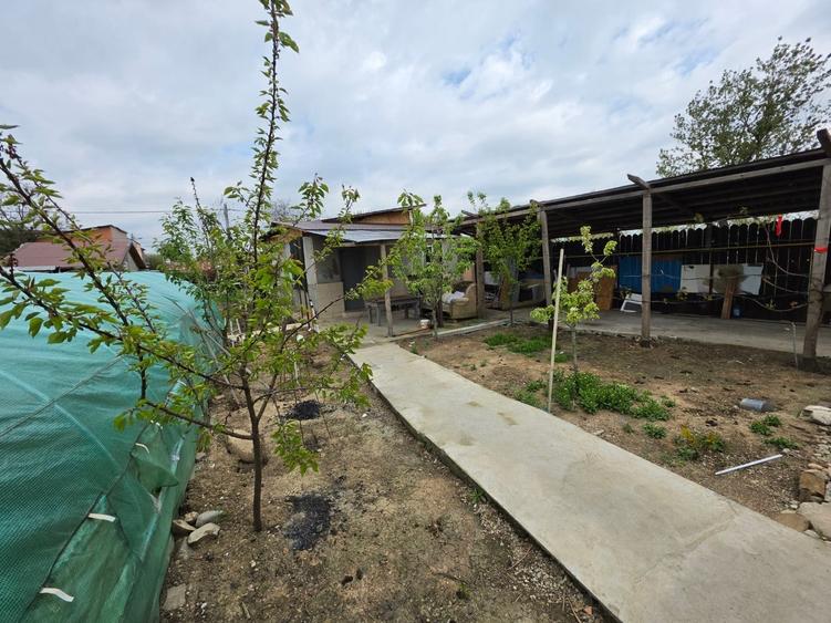 Teren Construcții intravilan de 600 mp, în Petricani