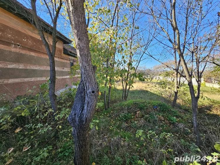 Casă cu 3 camere cu Teren 10450 Mp în Petreni