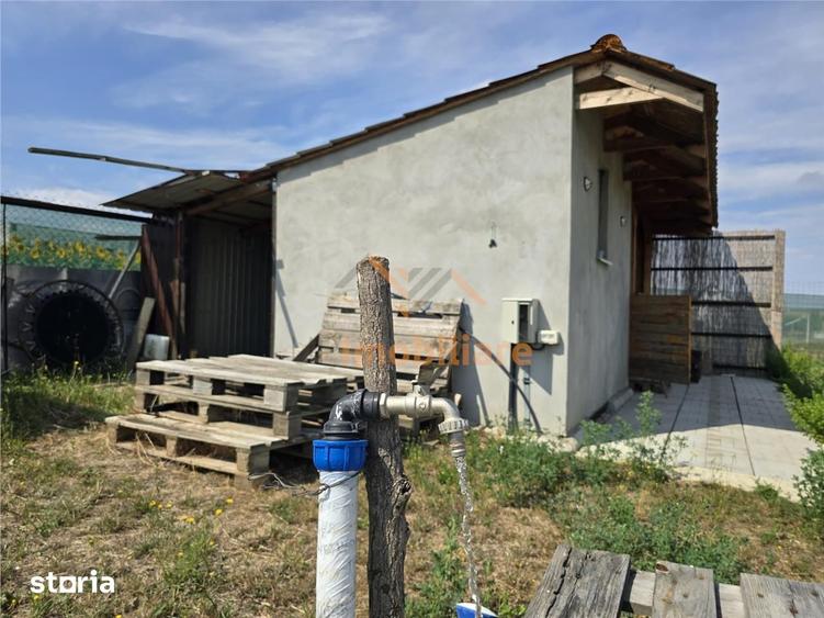 TEREN INTRAVILAN | 1000 MP | PALEU | BIHOR - 2