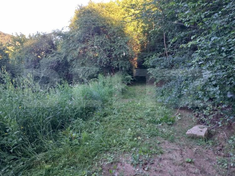 Teren Construcții intravilan de 4175 mp, în Vințu de Jos