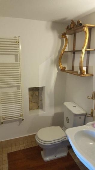 Spatiu in Piata Unirii cu potential pentru investitie - 7