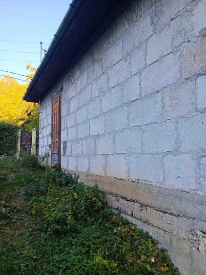 Casă în Pădurea Neagră