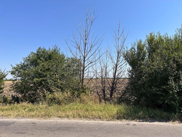 Teren Construcții intravilan de 5600 mp, în Periferie