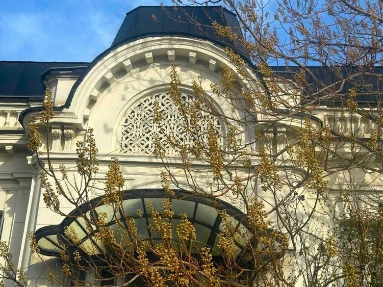 Casă cu 8 camere cu Garaj în Unirii