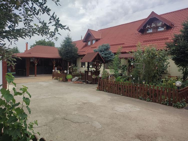 Casă individuală cu 6 camere cu Canalizare în Sânandrei