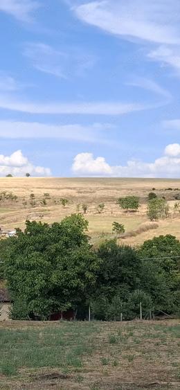 Teren de 7200 mp, în Esechioi