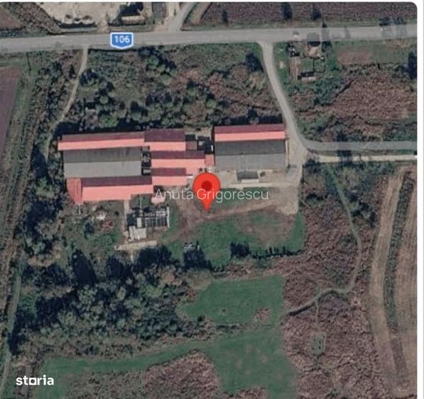 Teren intravilan 11.419 mp, Agnita - ideal dezvoltare industriala/come