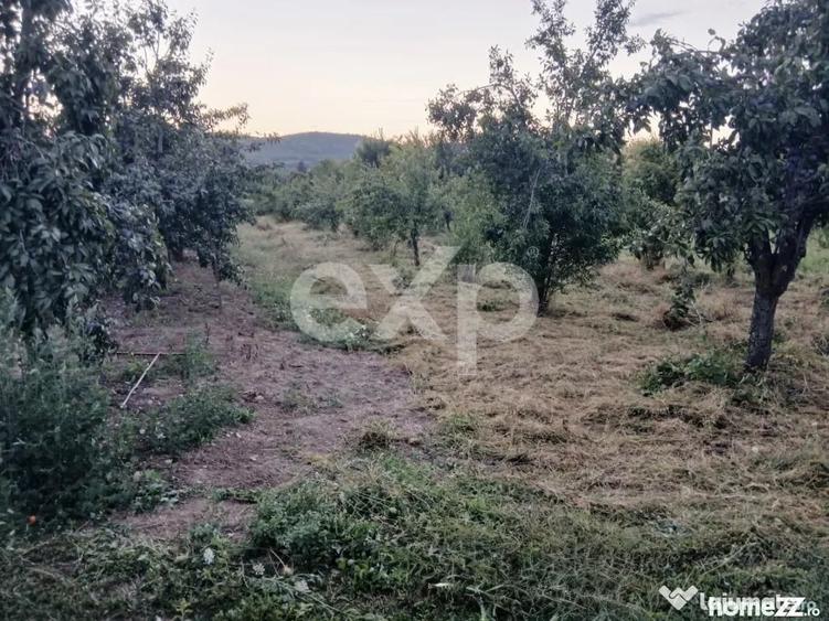 Teren în Central