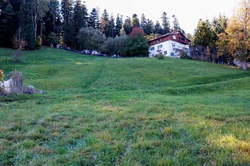 Teren Construcții intravilan de 8200 mp, în Bușteni