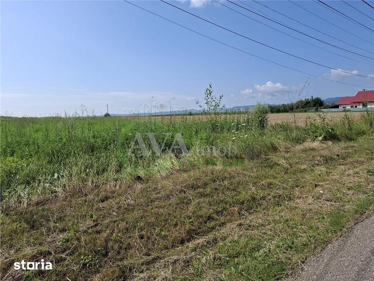 Teren de 1600 mp, în Nicolae Bălcescu
