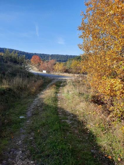 Teren de 10000 mp, în Leghia
