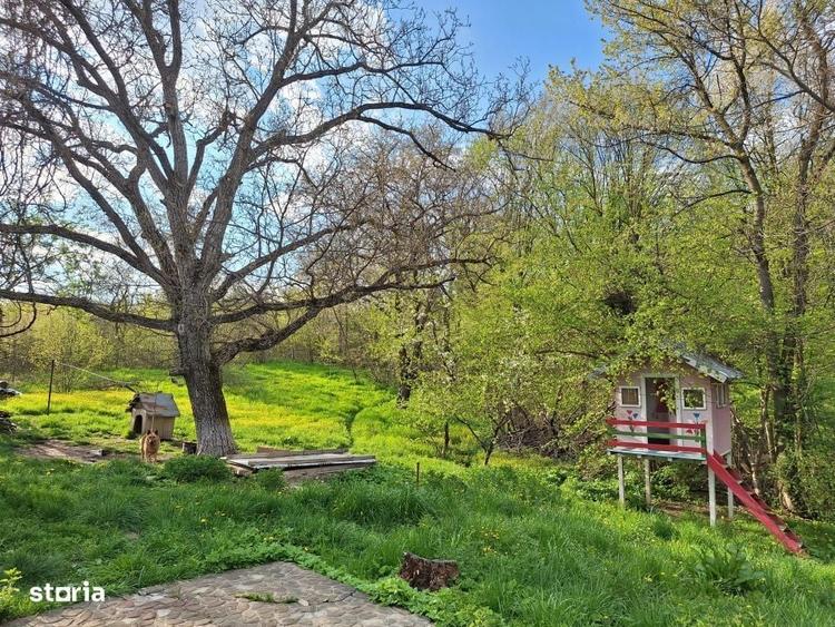 Casă cu 4 camere cu Teren 5950 Mp în Scorțeni