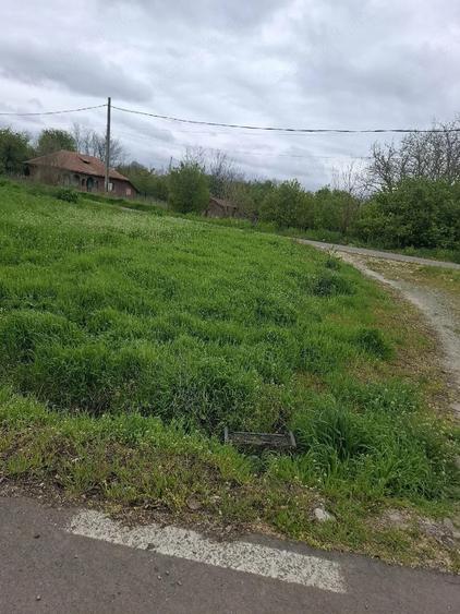 Teren de 750 mp, în Vlădiceasca