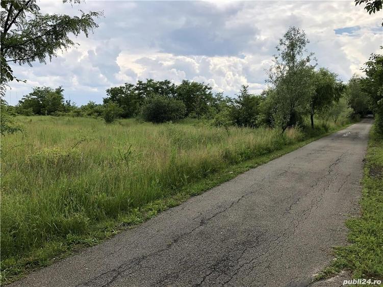 Teren de 1550 mp, în Potigrafu