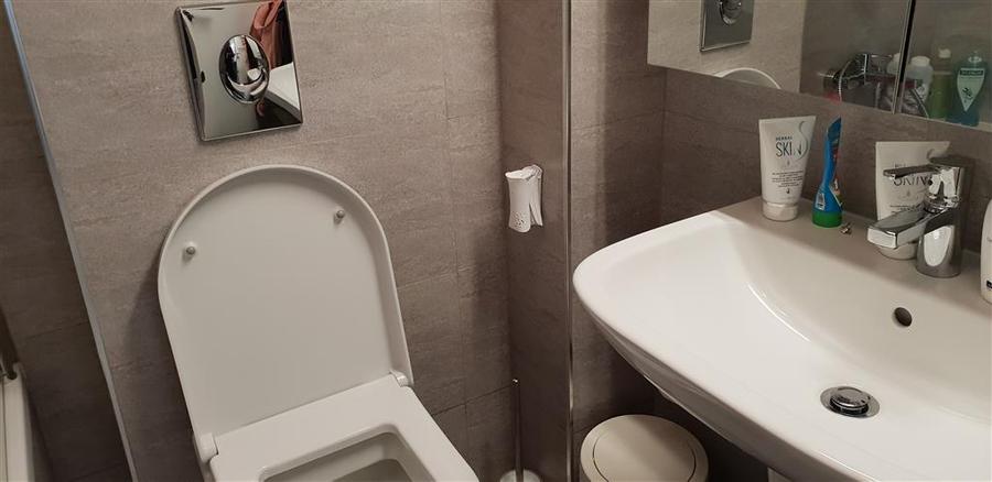 Apartament cu 2 camere decomandat, mobilat în Albert