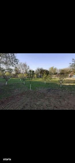 Casă cu 10 camere cu Teren 2529 Mp în Bolintin-Deal