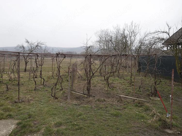 Casă cu 3 camere cu Teren 813 Mp în Grădiștea