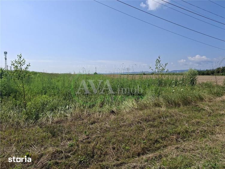Teren de 1600 mp, în Nicolae Bălcescu