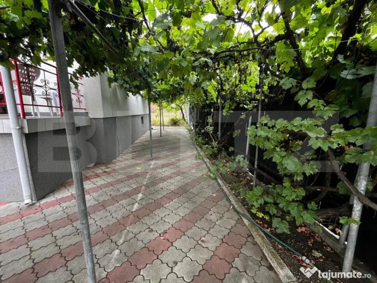 Casa individuala zona excelenta, Dambu Rotund, 307 mp curte - 11